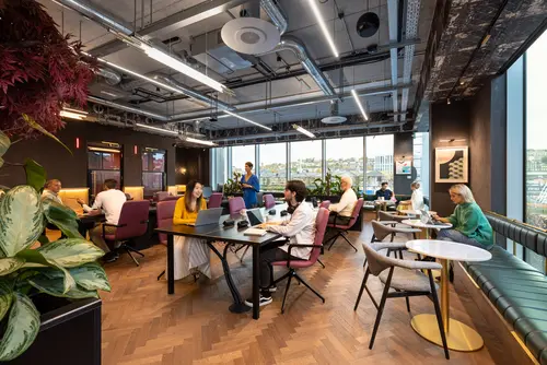 Thumbnail image of NSQ2