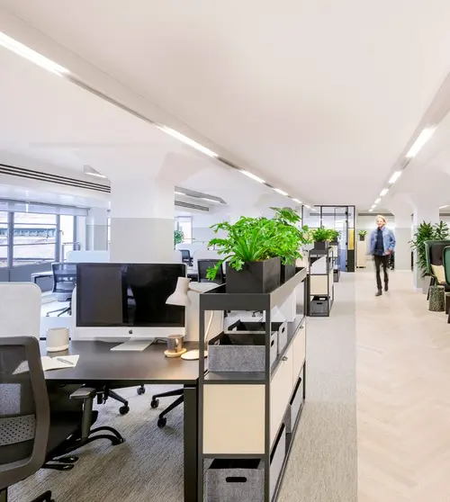 Thumbnail image of Beem: The Clove Building