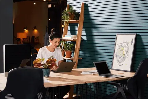 Thumbnail image of Cigar Factory