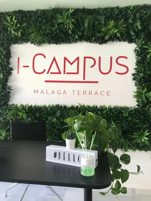 Innovation Campus - Málaga Terrace coworking space