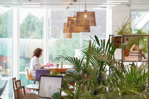 The Curious Lounge coworking space