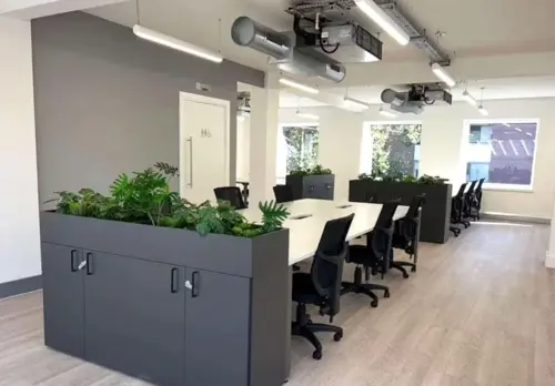 Thumbnail image of 5 Sycamore Street