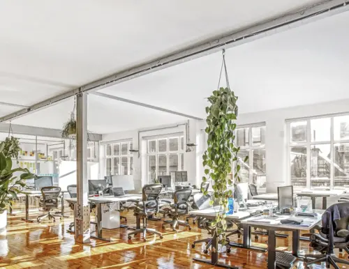 Thumbnail image of 31 Great Sutton Street