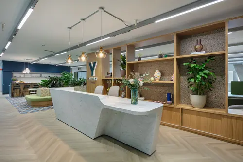 Thumbnail image of Studio Y