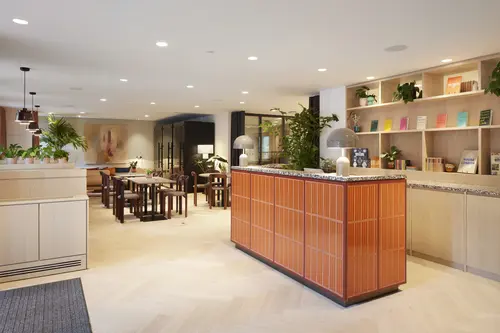 Thumbnail image of X And Why Bloomsbury