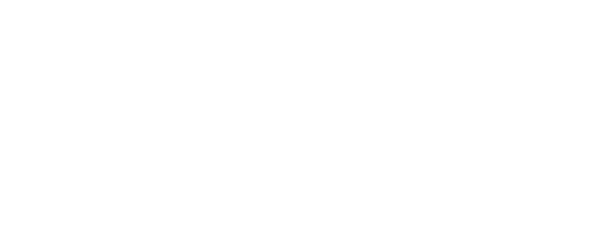 The Tallys logo